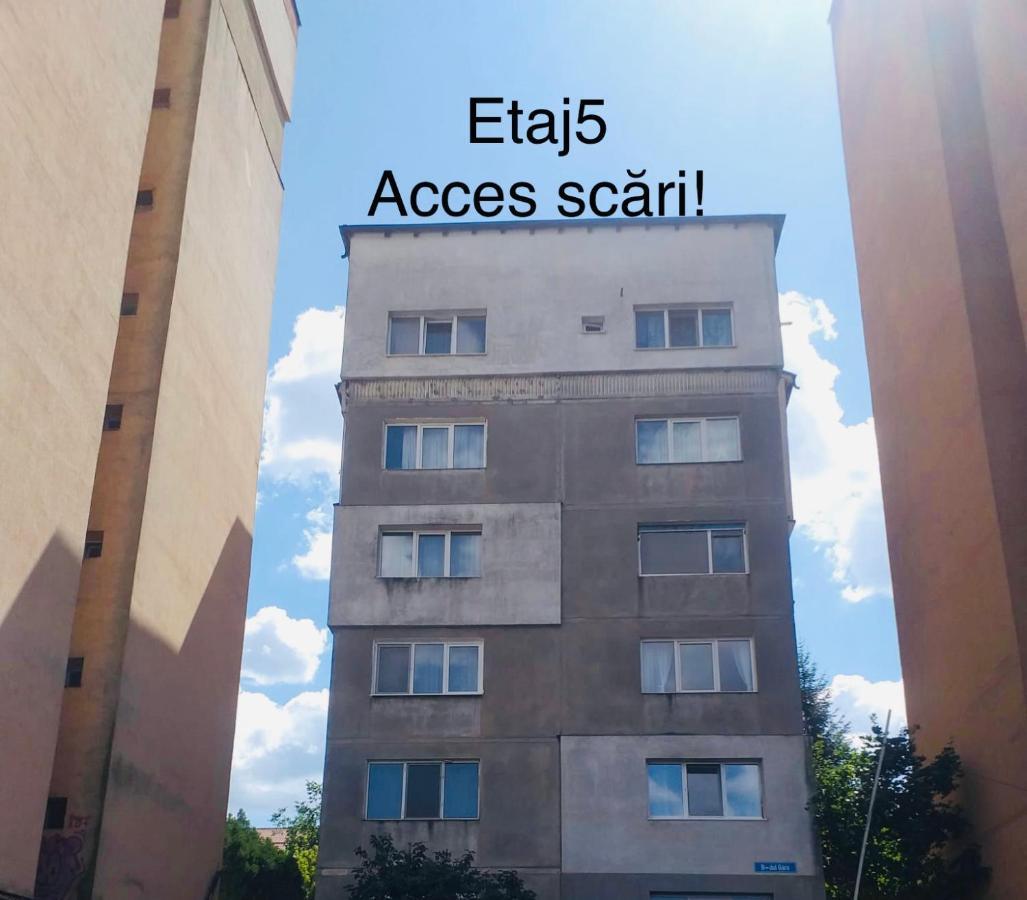 Апартаменты Zizi'S House Garii Брашов Экстерьер фото